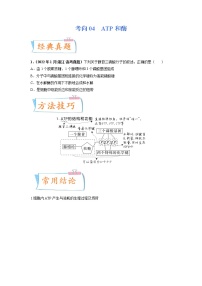 【高考考點(diǎn)專題復(fù)習(xí)】高考生物考點(diǎn)專題復(fù)習(xí)——考向04《ATP和酶》全能卷(全國通用)