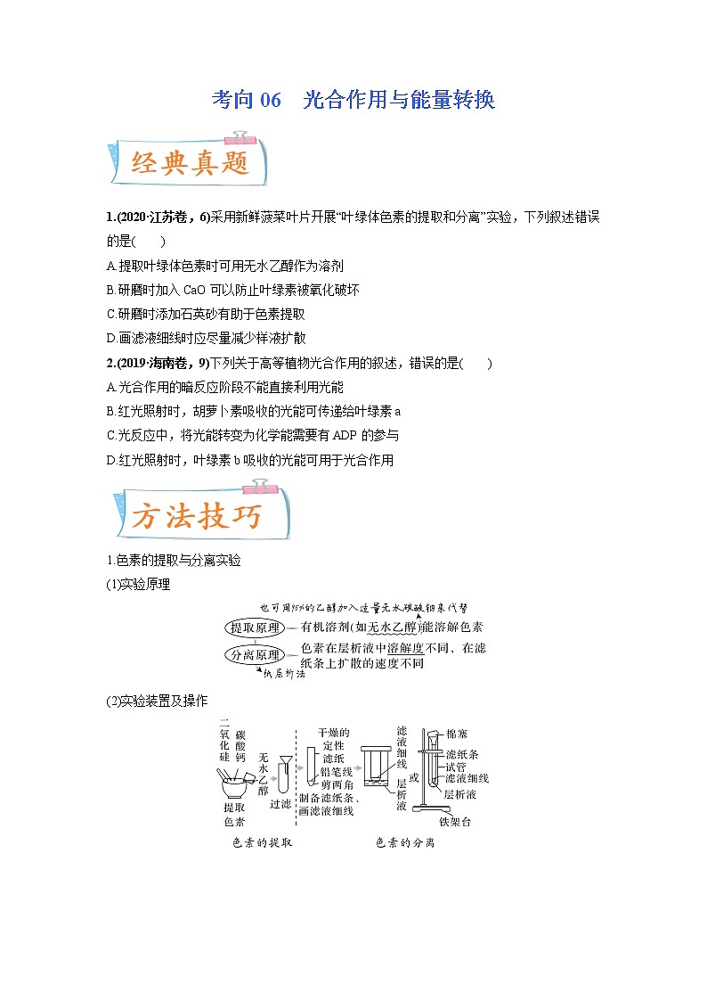 【高考考点专题复习】高考生物考点专题复习——考向06《光合作用与能量转换》全能卷(全国通用)(原卷版)第1页