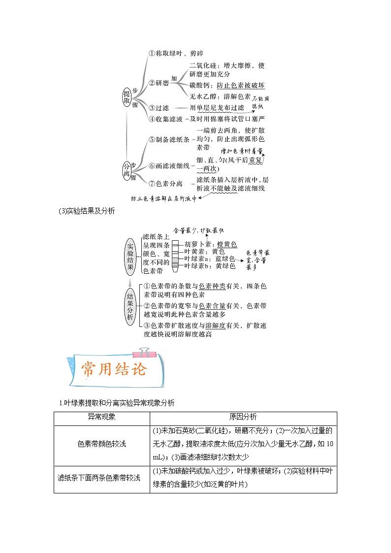 【高考考点专题复习】高考生物考点专题复习——考向06《光合作用与能量转换》全能卷(全国通用)(原卷版)第2页