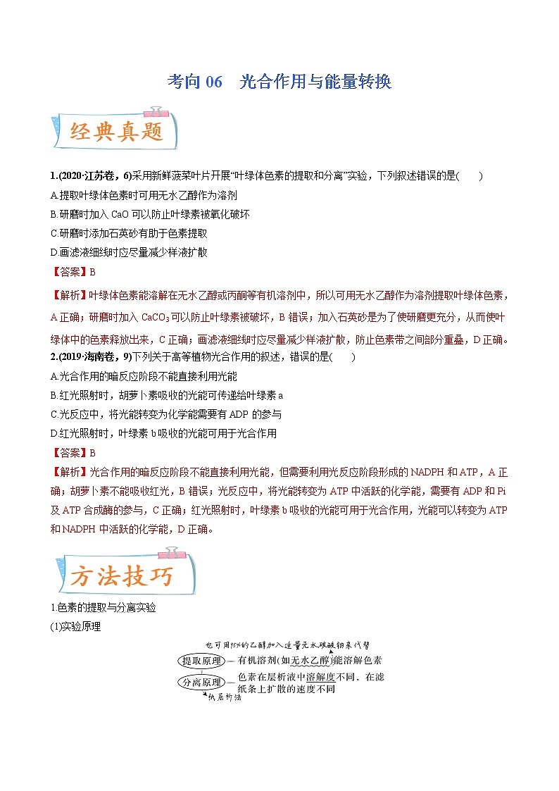 【高考考点专题复习】高考生物考点专题复习——考向06《光合作用与能量转换》全能卷(全国通用)(解析版)第1页
