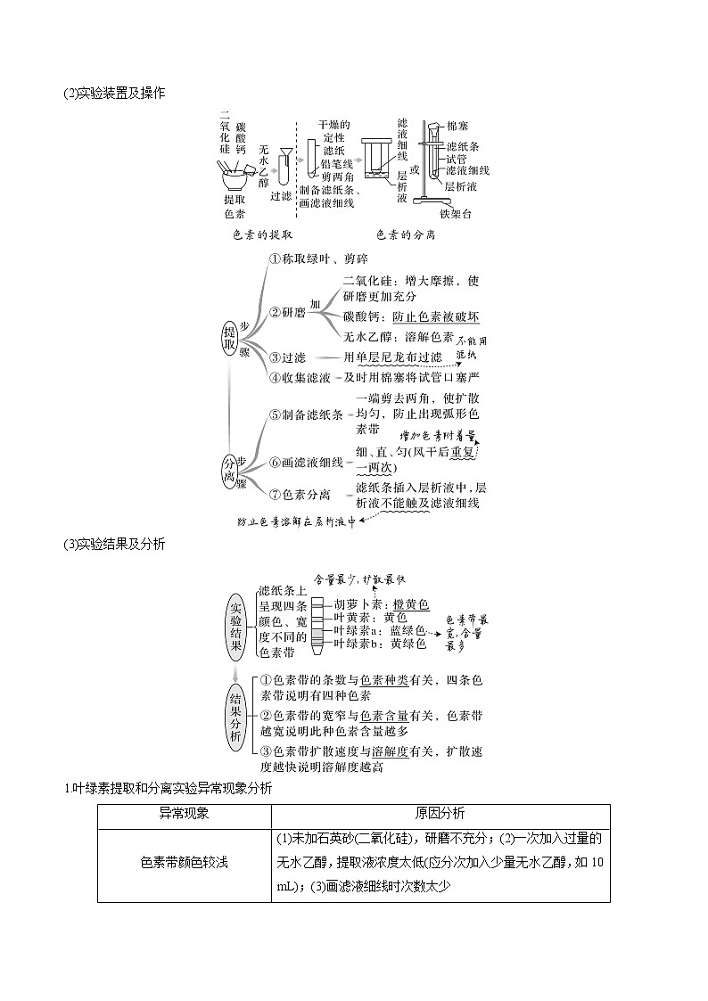 【高考考点专题复习】高考生物考点专题复习——考向06《光合作用与能量转换》全能卷(全国通用)(解析版)第2页