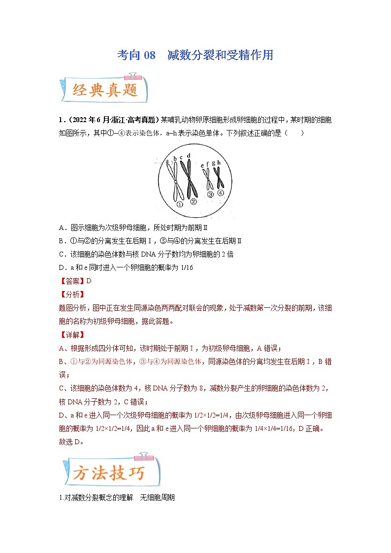【高考考点专题复习】高考生物考点专题复习——考向08《减数分裂和受精作用》全能卷(全国通用)(解析版)第1页