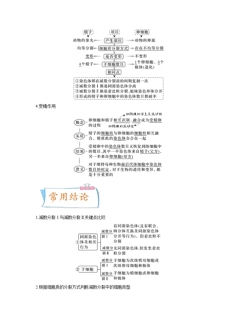 【高考考点专题复习】高考生物考点专题复习——考向08《减数分裂和受精作用》全能卷(全国通用)(解析版)第3页