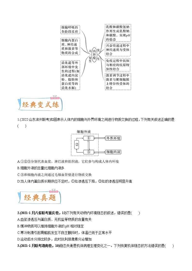 【高考考点专题复习】高考生物考点专题复习——考向16《人体内环境稳态及实例》全能卷(全国通用)(原卷版)第2页
