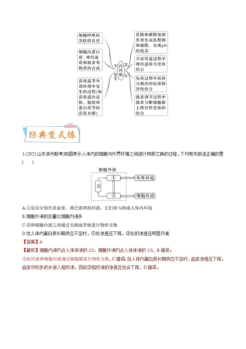 【高考考点专题复习】高考生物考点专题复习——考向16《人体内环境稳态及实例》全能卷(全国通用)(解析版)第2页