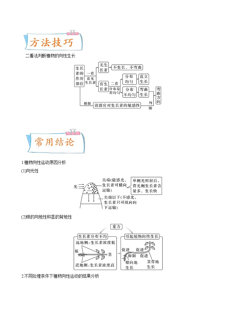 【高考考点专题复习】高考生物考点专题复习——考向20《植物生命活动的调节》全能卷(全国通用)(原卷版)第2页