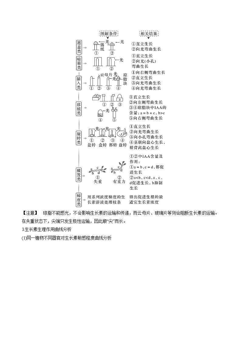 【高考考点专题复习】高考生物考点专题复习——考向20《植物生命活动的调节》全能卷(全国通用)(原卷版)第3页