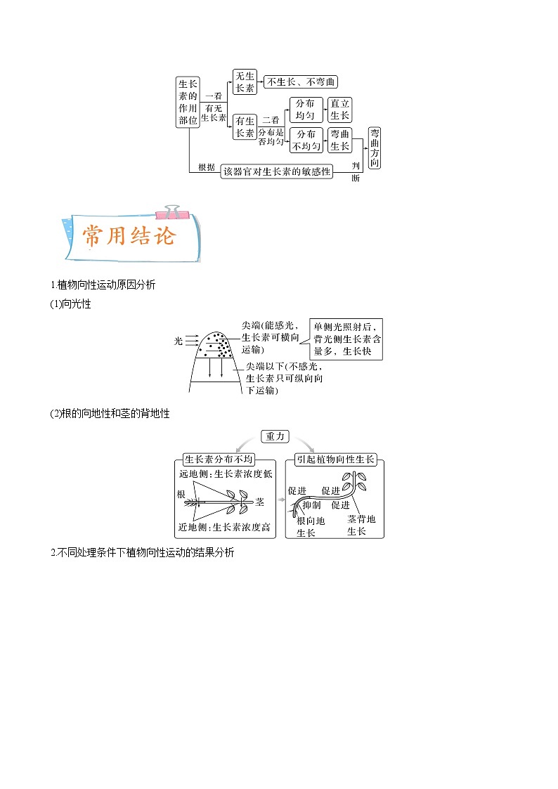 【高考考点专题复习】高考生物考点专题复习——考向20《植物生命活动的调节》全能卷(全国通用)(解析版)第3页