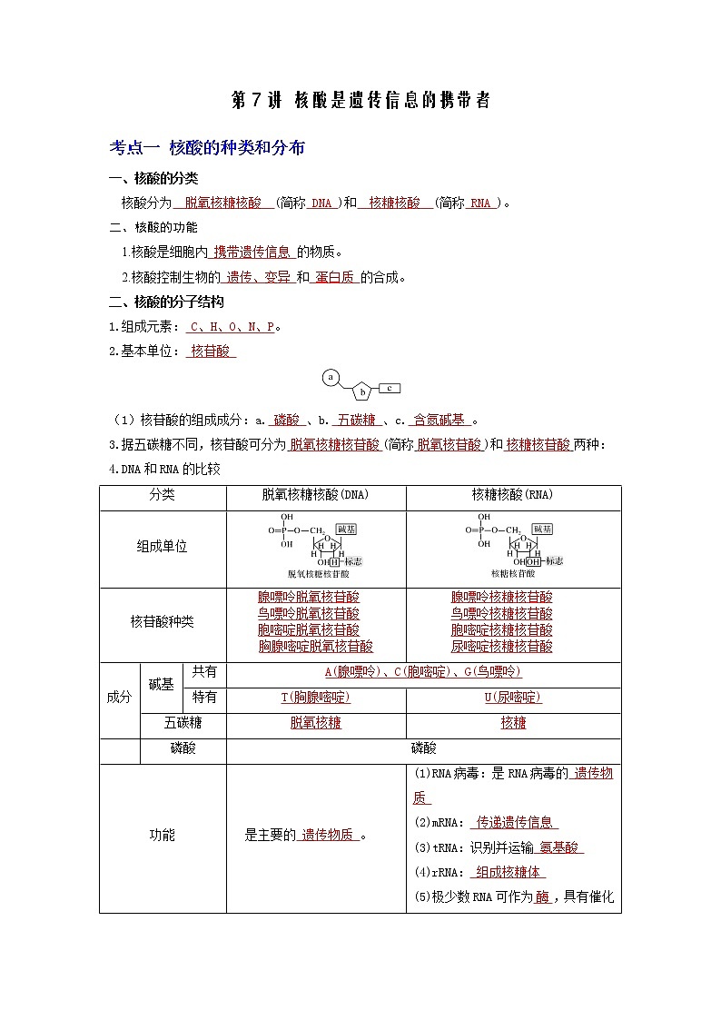 【高考精细化复习】生物(必修1)一轮复习 第7讲《核酸是遗传信息的携带者》讲义(解析版)(全国通用)第1页