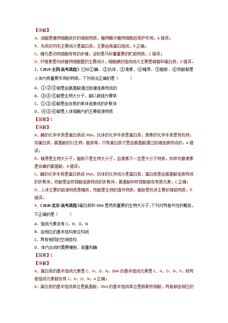 【高考精细化复习】生物(必修1)一轮复习 第7讲《核酸是遗传信息的携带者》讲义(解析版)(全国通用)第3页