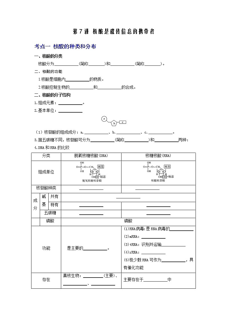 【高考精细化复习】生物(必修1)一轮复习 第7讲《核酸是遗传信息的携带者》讲义(原卷版)(全国通用)第1页