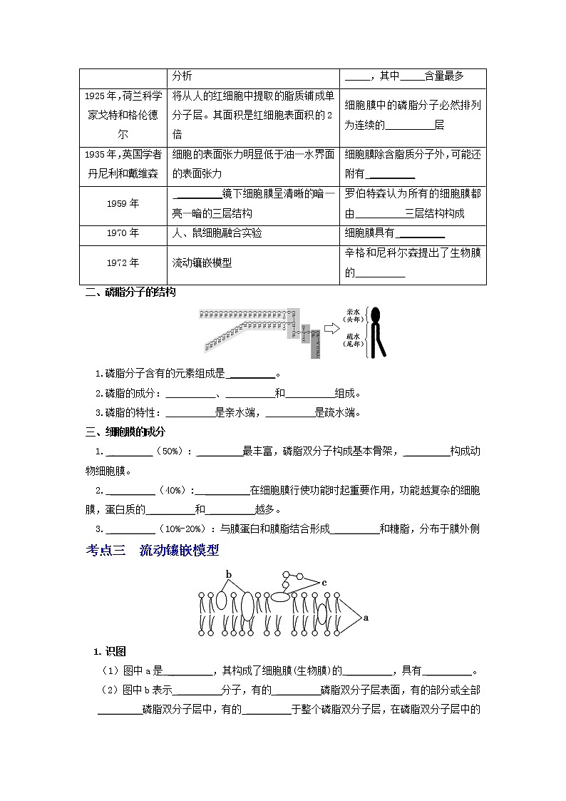 【高考精细化复习】生物(必修1)一轮复习  第8讲《细胞膜的结构和功能》讲义(原卷版)(全国通用)第2页