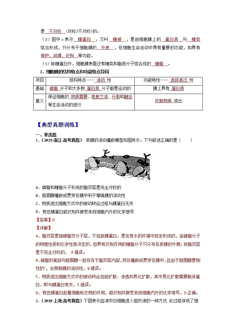 【高考精细化复习】生物(必修1)一轮复习  第8讲《细胞膜的结构和功能》讲义(解析版)(全国通用)第3页
