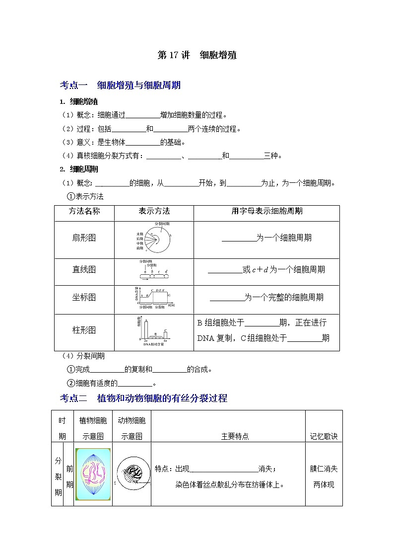 【高考精细化复习】生物(必修1)一轮复习 第17讲《细胞增殖》讲义(原卷版)(全国通用)第1页