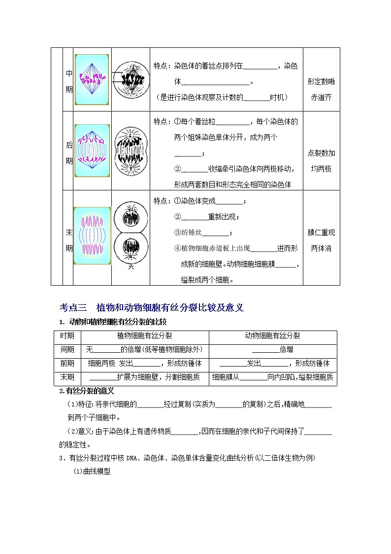 【高考精细化复习】生物(必修1)一轮复习 第17讲《细胞增殖》讲义(原卷版)(全国通用)第2页