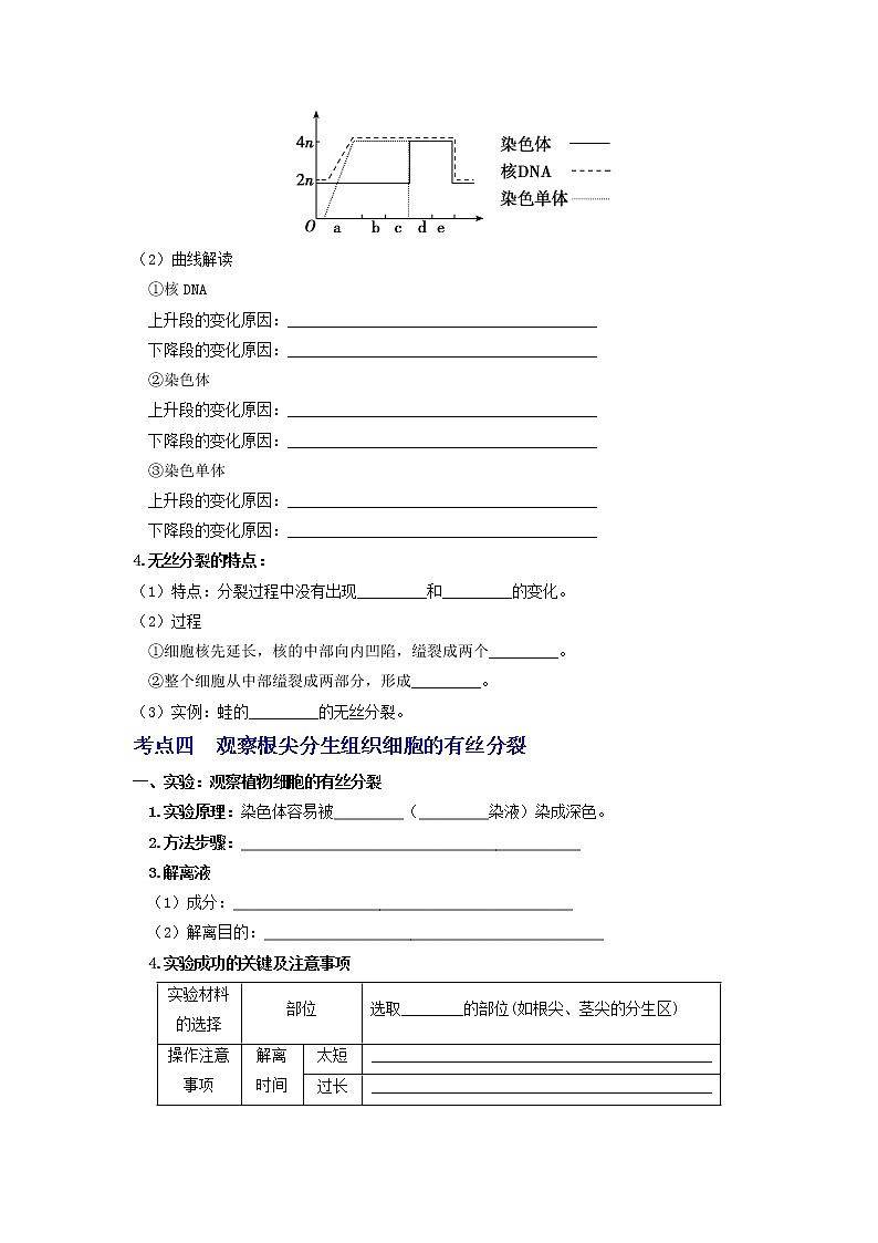 【高考精细化复习】生物(必修1)一轮复习 第17讲《细胞增殖》讲义(原卷版)(全国通用)第3页