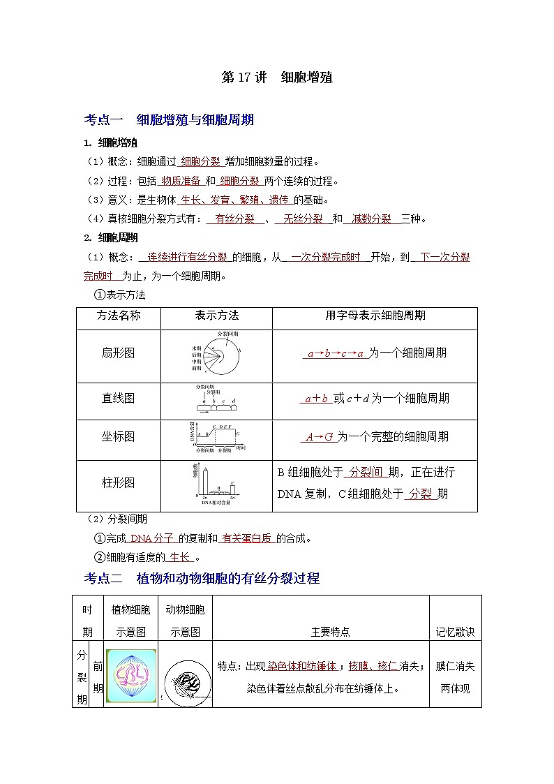 【高考精细化复习】生物(必修1)一轮复习 第17讲《细胞增殖》讲义(解析版)(全国通用)第1页