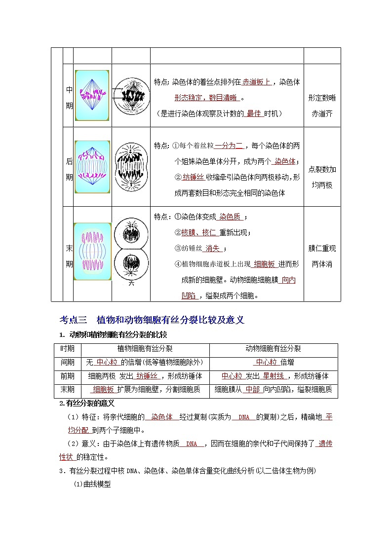 【高考精细化复习】生物(必修1)一轮复习 第17讲《细胞增殖》讲义(解析版)(全国通用)第2页