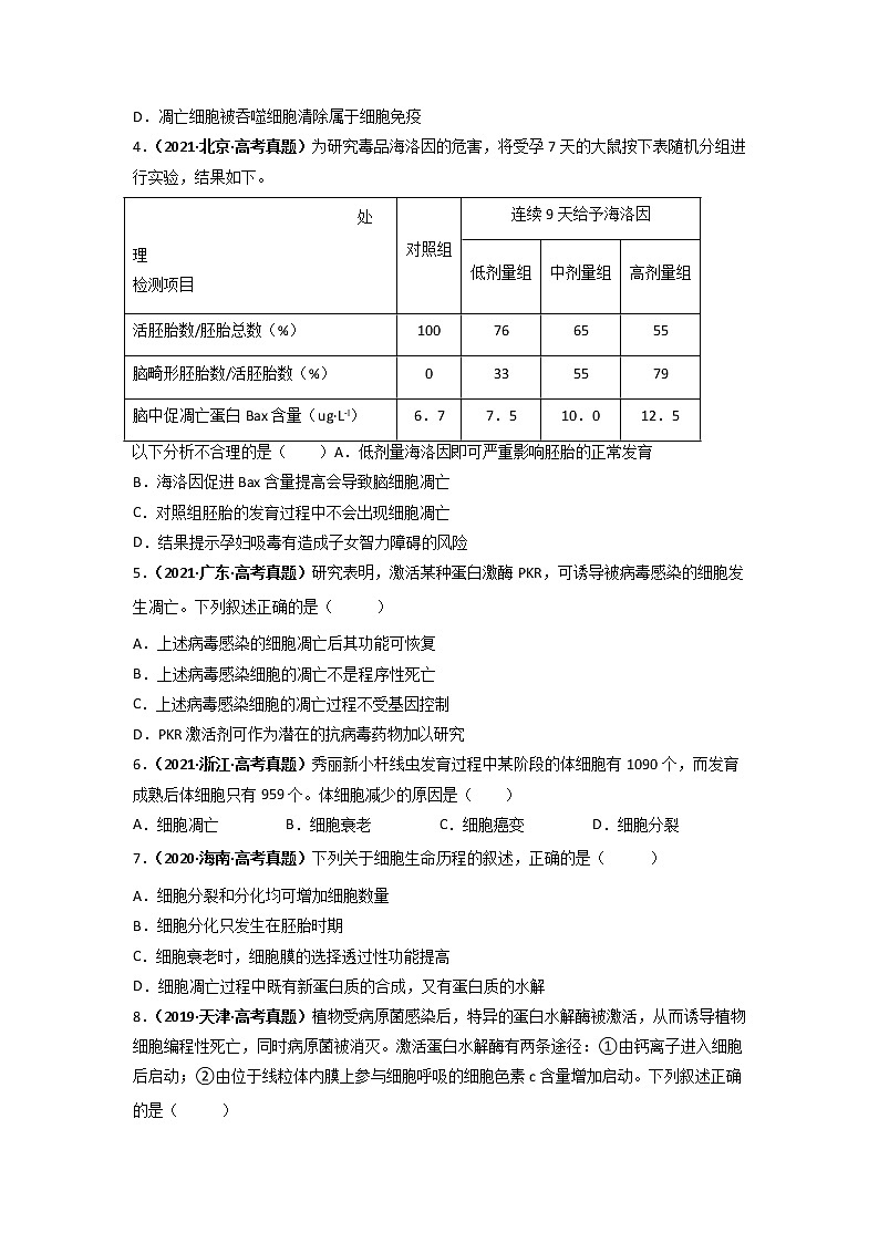 【高考精细化复习】生物(必修1)一轮复习 第19讲《细胞的衰老和死亡》讲义(原卷版)(全国通用)第3页