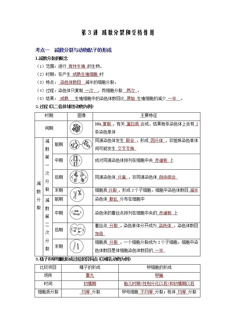【高考精细化复习】生物(必修2)一轮复习  第3讲《减数分裂和受精作用》讲义(解析版)(全国通用)第1页