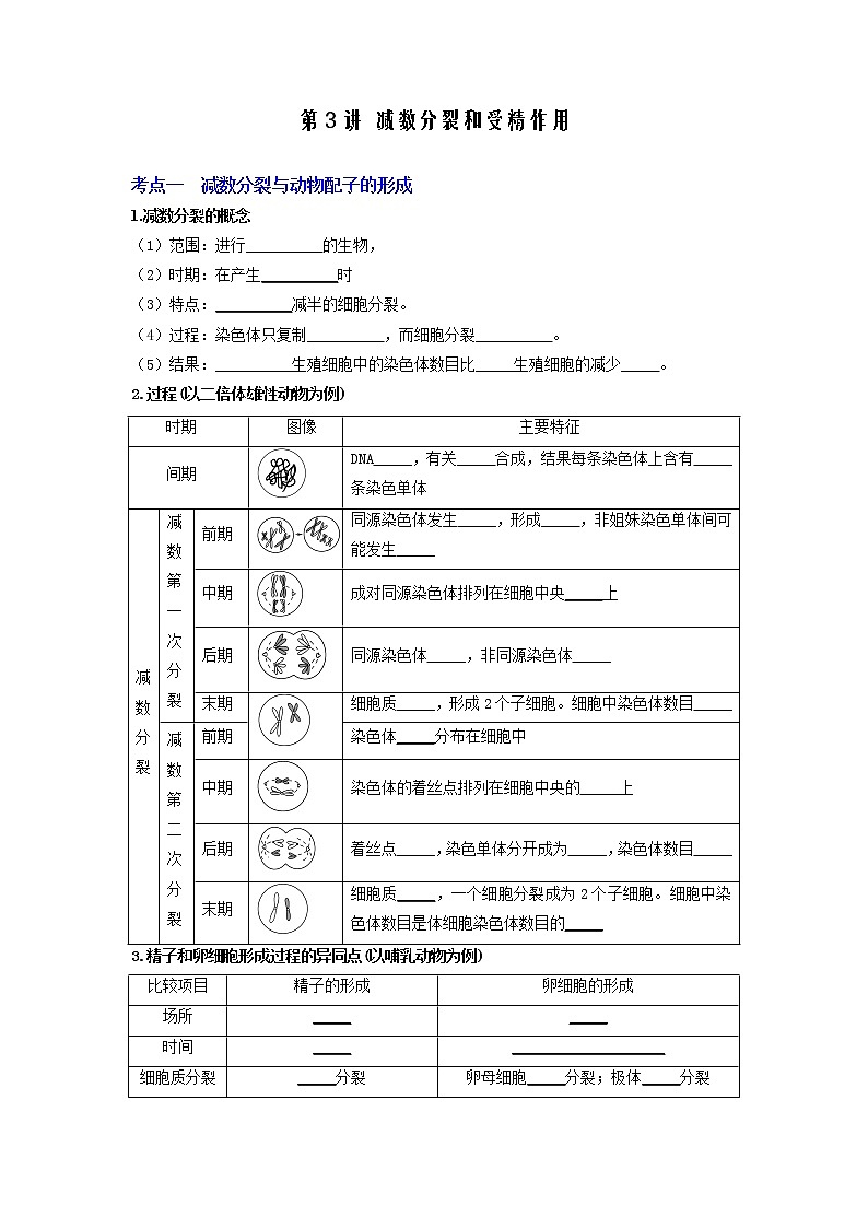 【高考精细化复习】生物(必修2)一轮复习  第3讲《减数分裂和受精作用》讲义(原卷版)(全国通用)第1页