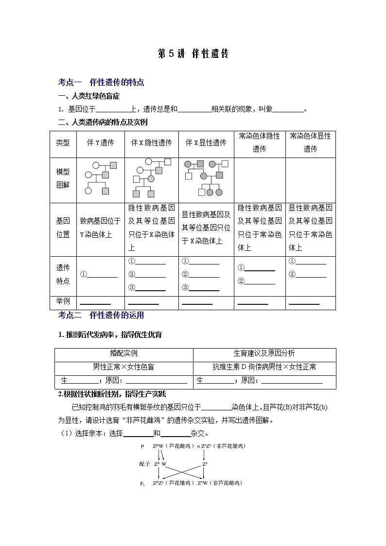 【高考精细化复习】生物(必修2)一轮复习  第5讲《伴性遗传》讲义(原卷版)(全国通用)第1页