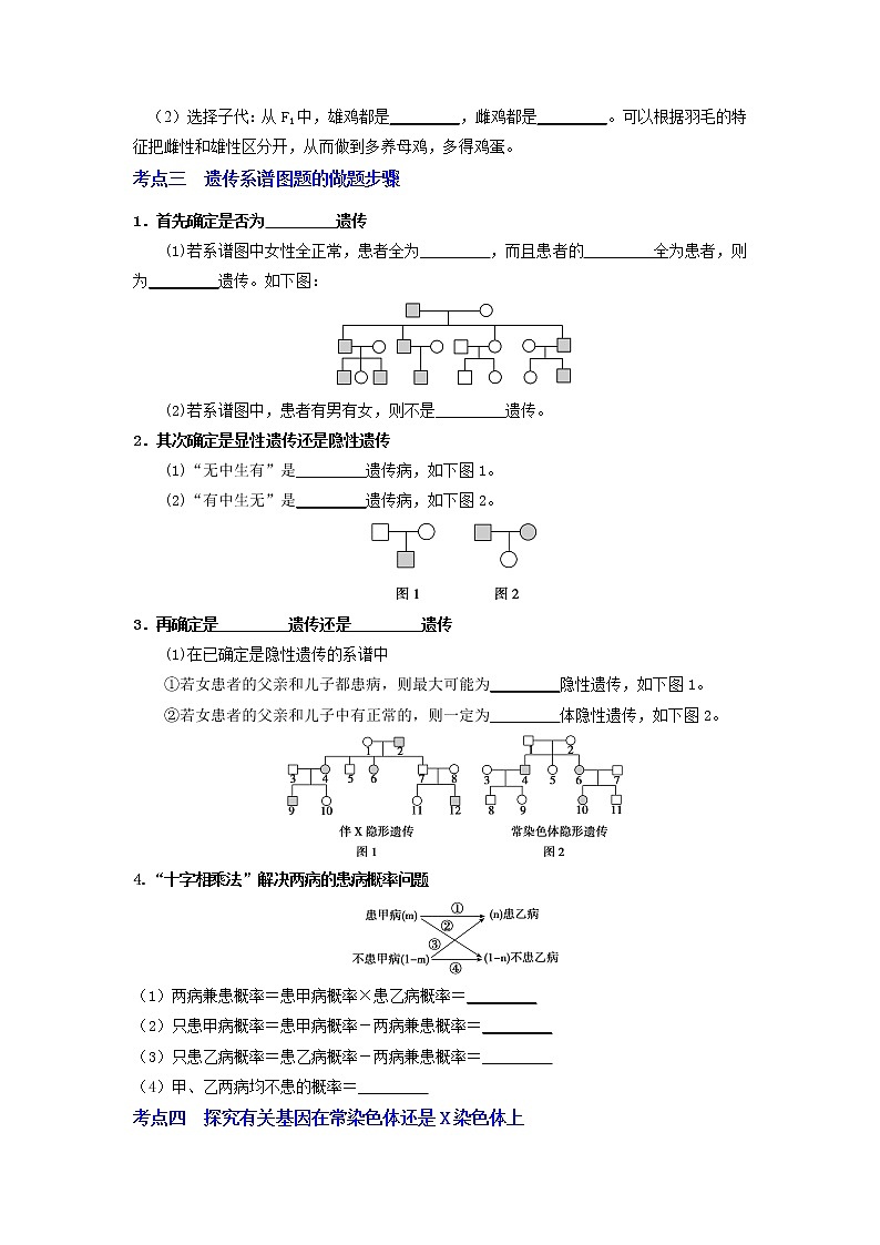 【高考精细化复习】生物(必修2)一轮复习  第5讲《伴性遗传》讲义(原卷版)(全国通用)第2页