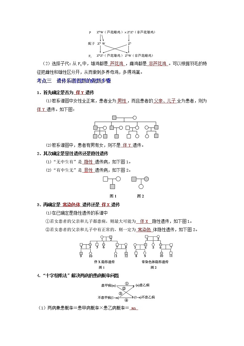 【高考精细化复习】生物(必修2)一轮复习  第5讲《伴性遗传》讲义(解析版)(全国通用)第2页