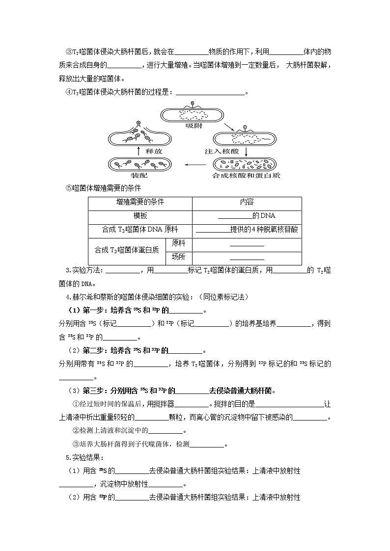 【高考精细化复习】生物(必修2)一轮复习  第6讲《DNA是主要的遗传物质》讲义(原卷版)(全国通用)第3页