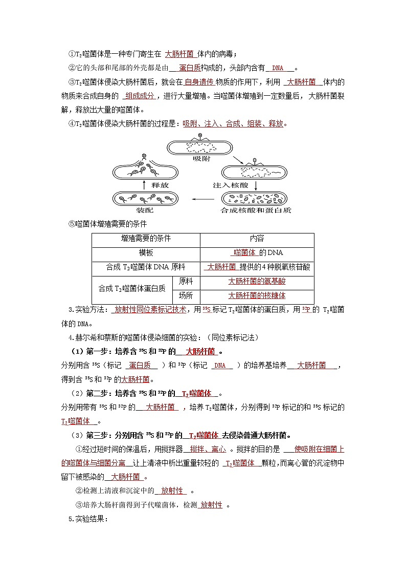 【高考精细化复习】生物(必修2)一轮复习  第6讲《DNA是主要的遗传物质》讲义(解析版)(全国通用)第3页
