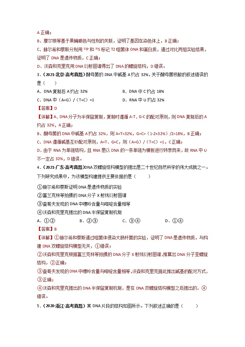 【高考精细化复习】生物(必修2)一轮复习  第7讲《DNA的结构》讲义(解析版)(全国通用)第3页