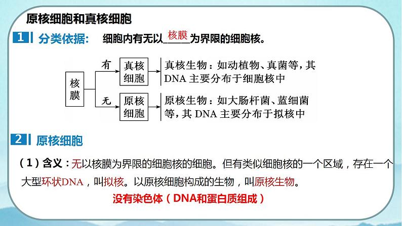 1.2 细胞的多样性和统一性(第2课时)-高中生物 课件+练习(人教版2019 必修一)07
