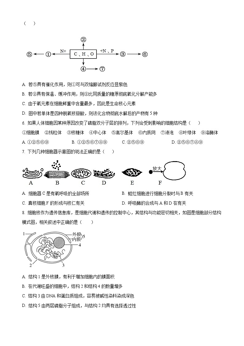 2023天津市耀华中学高三上学期第一次月考试题生物含答案02