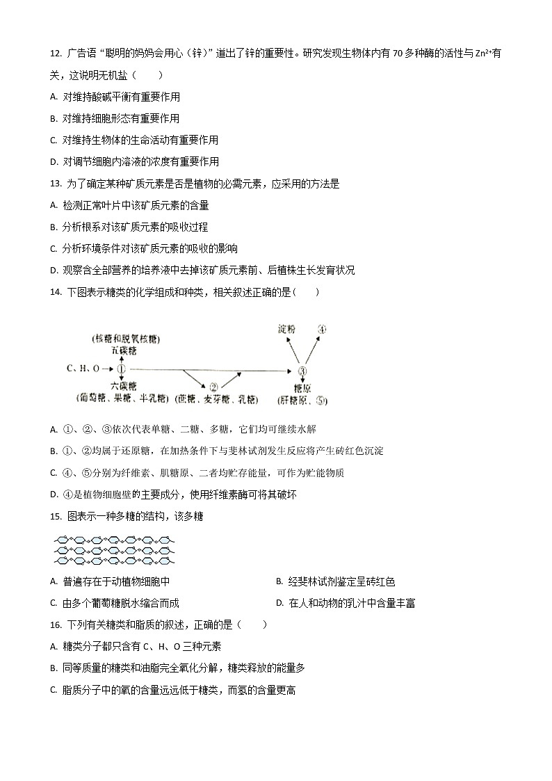 2022塔城地区沙湾县一中高一上学期期中考试生物试题含解析第3页