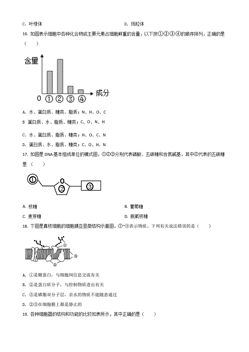 2022喀什地区叶城县八中高一上学期期中考试生物试题含解析03