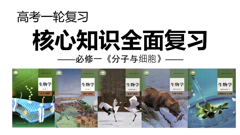 【高考一轮专题复习】高考生物专题复习——第19讲《细胞分化、衰老、凋亡和癌变》复习课件(新教材新高考)第1页