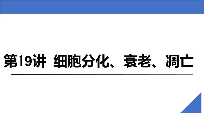 【高考一轮专题复习】高考生物专题复习——第19讲《细胞分化、衰老、凋亡和癌变》复习课件(新教材新高考)第2页
