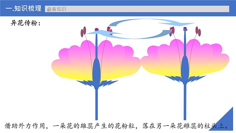【高考一轮专题复习】高考生物专题复习——第20讲《分离定律的发现及应用》复习课件(新教材新高考)第8页