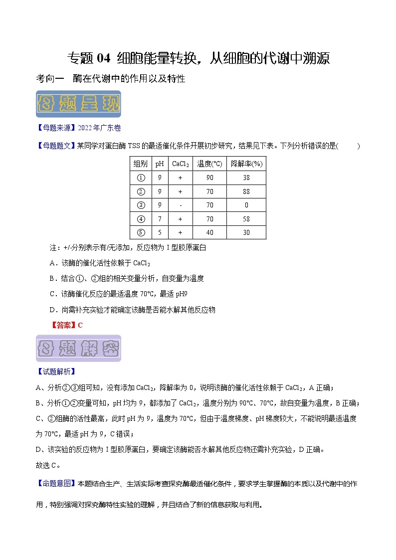 【高考真题解密】高考生物真题题源-专题04《细胞能量转换，从细胞的代谢中溯源》母题解密（全国通用）01