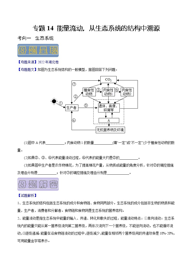 【高考真题解密】高考生物真题题源-专题14《能量流动，从生态系统的结构中溯源》母题解密（全国通用）01