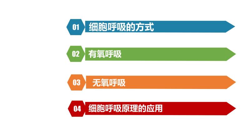 人教版高中生物高一必修一分子与细胞课件5.3细胞呼吸的原理和应用02