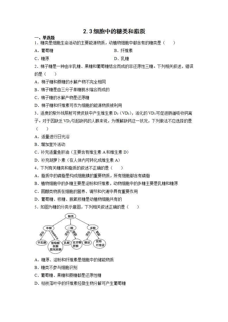 2.3 细胞中的糖类和脂质第1页