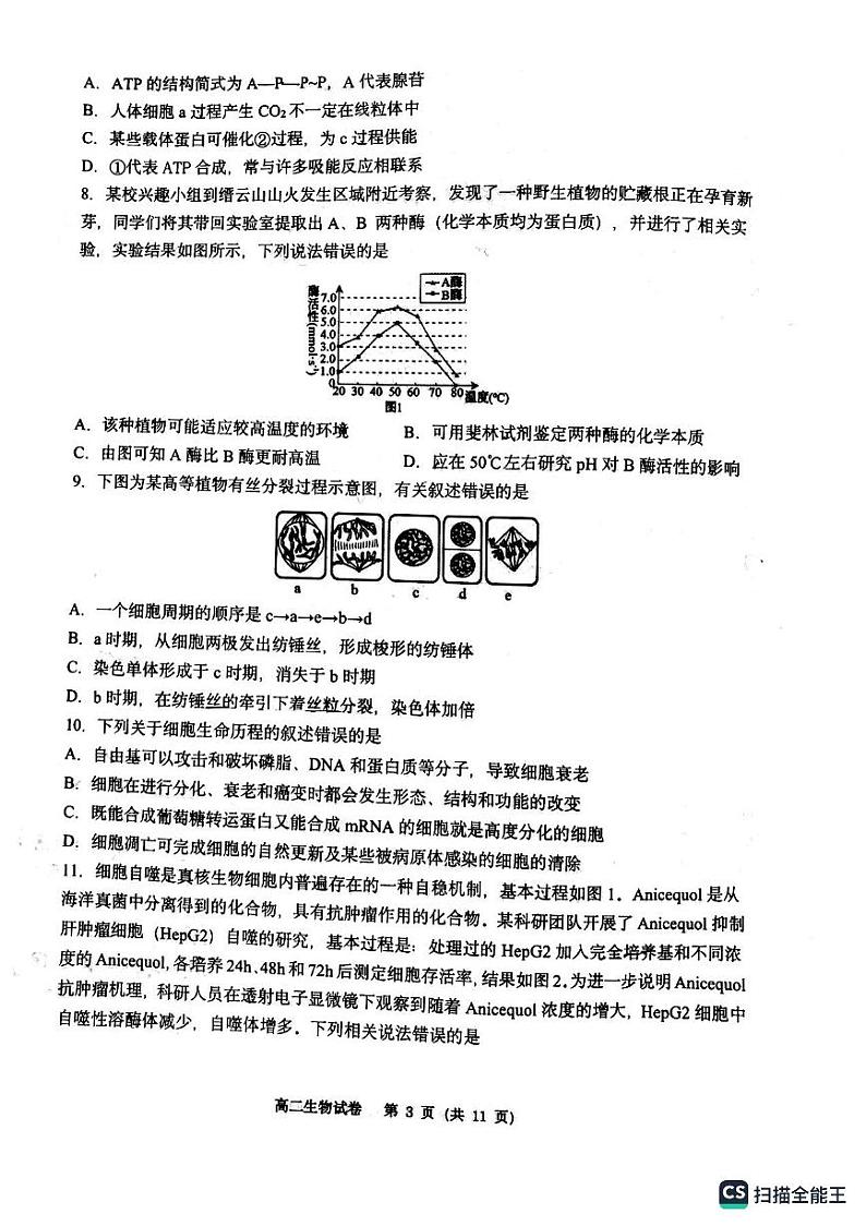 重庆市巴蜀中学2022-2023学年高二上学期第一次月考生物试题第3页