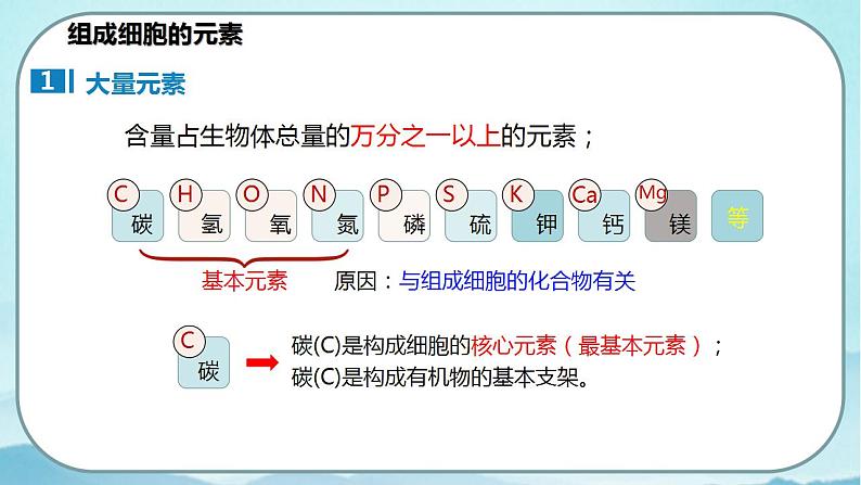 2.1 细胞的元素和化合物-高中生物 课件+练习(人教版2019 必修一)07