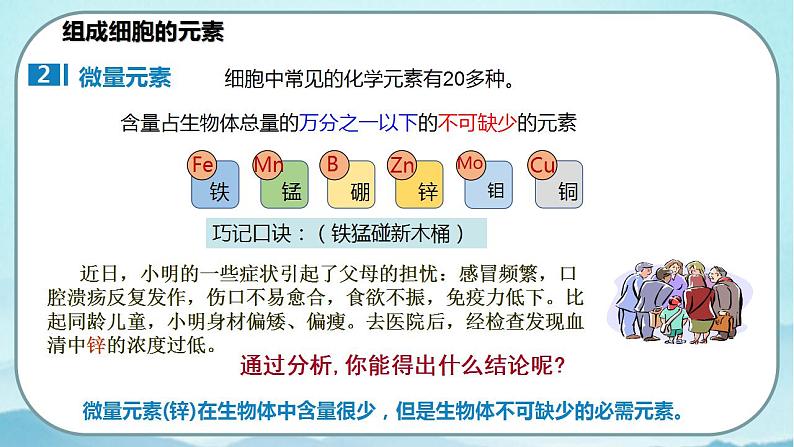 2.1 细胞的元素和化合物-高中生物 课件+练习(人教版2019 必修一)08
