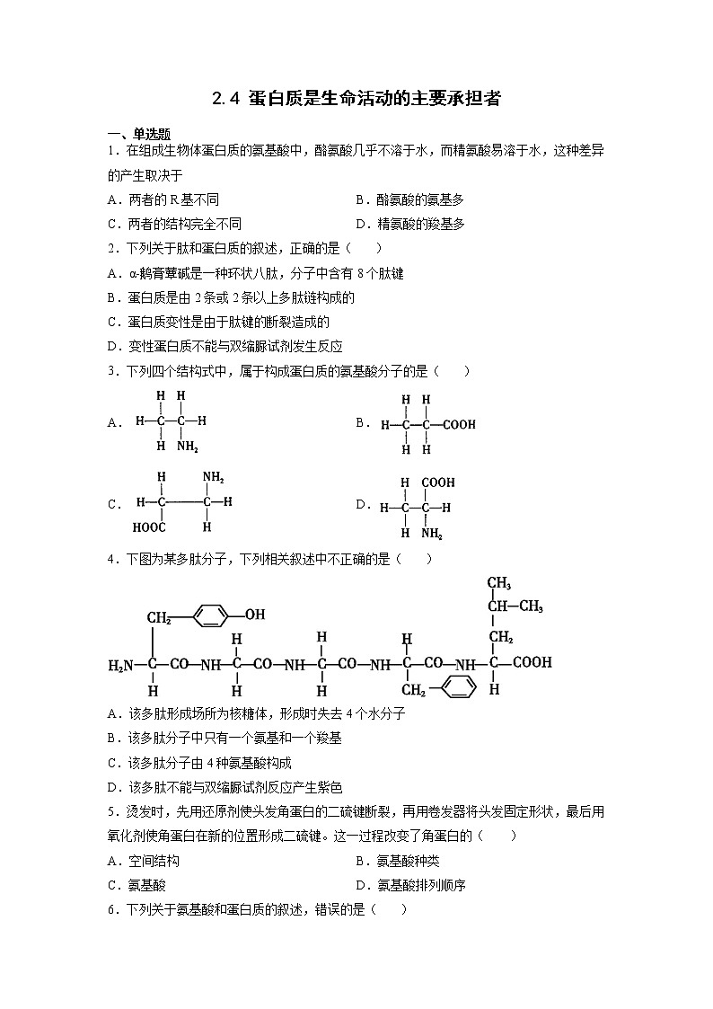 2.4 蛋白质是生命活动的主要承担者-高中生物 课件+练习(人教版2019 必修一)01