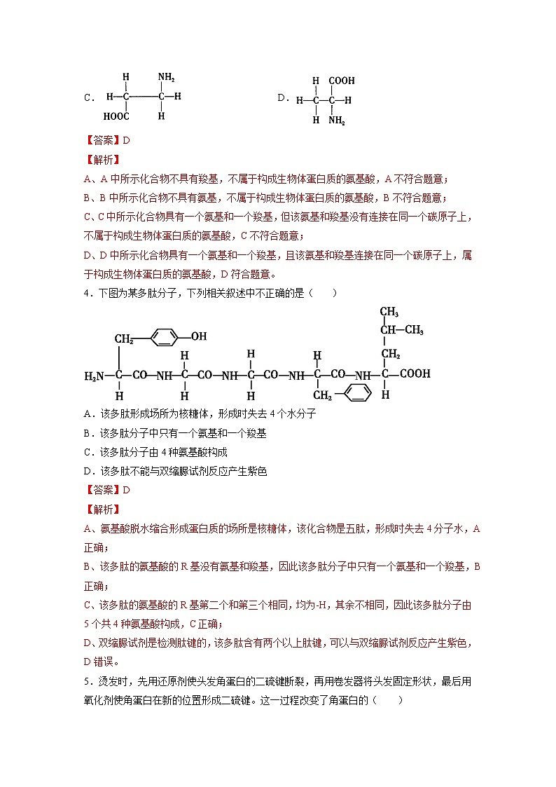 2.4 蛋白质是生命活动的主要承担者-高中生物 课件+练习(人教版2019 必修一)02