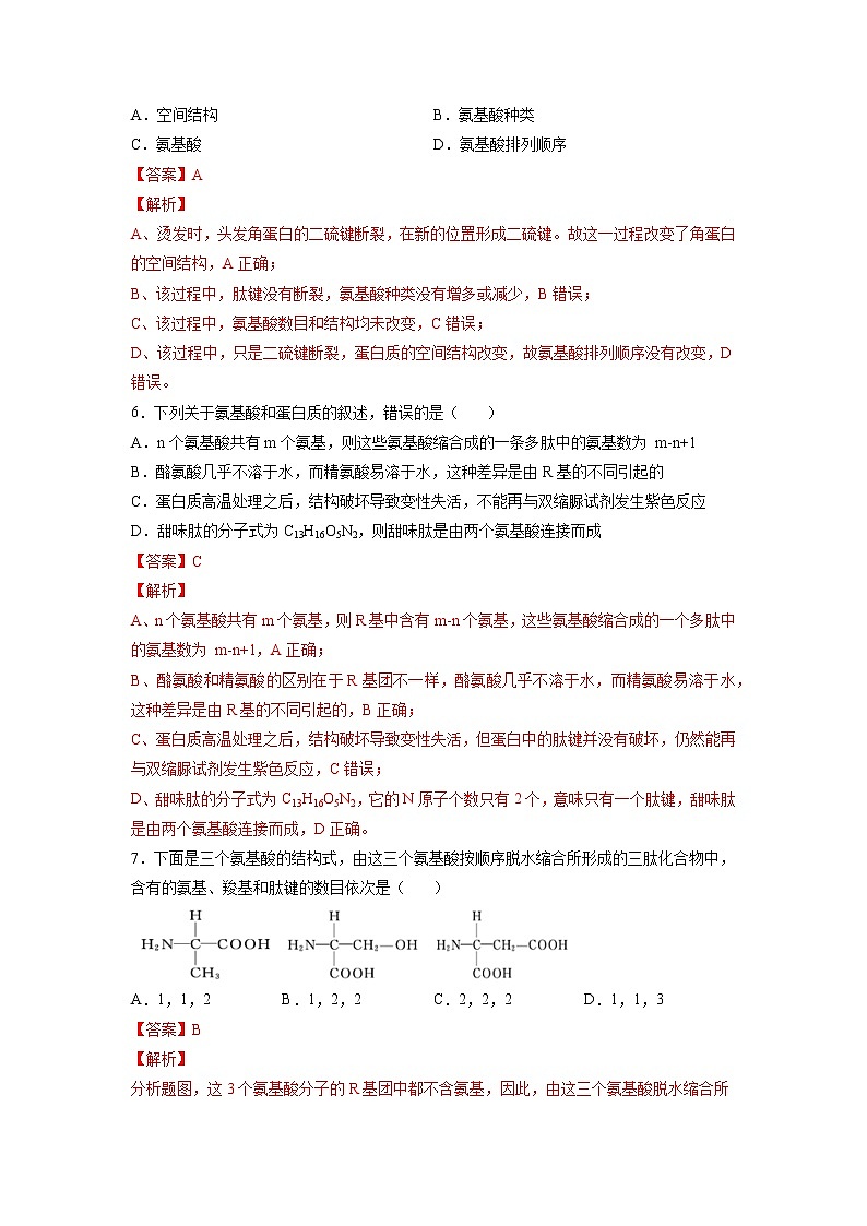 2.4 蛋白质是生命活动的主要承担者-高中生物 课件+练习(人教版2019 必修一)03