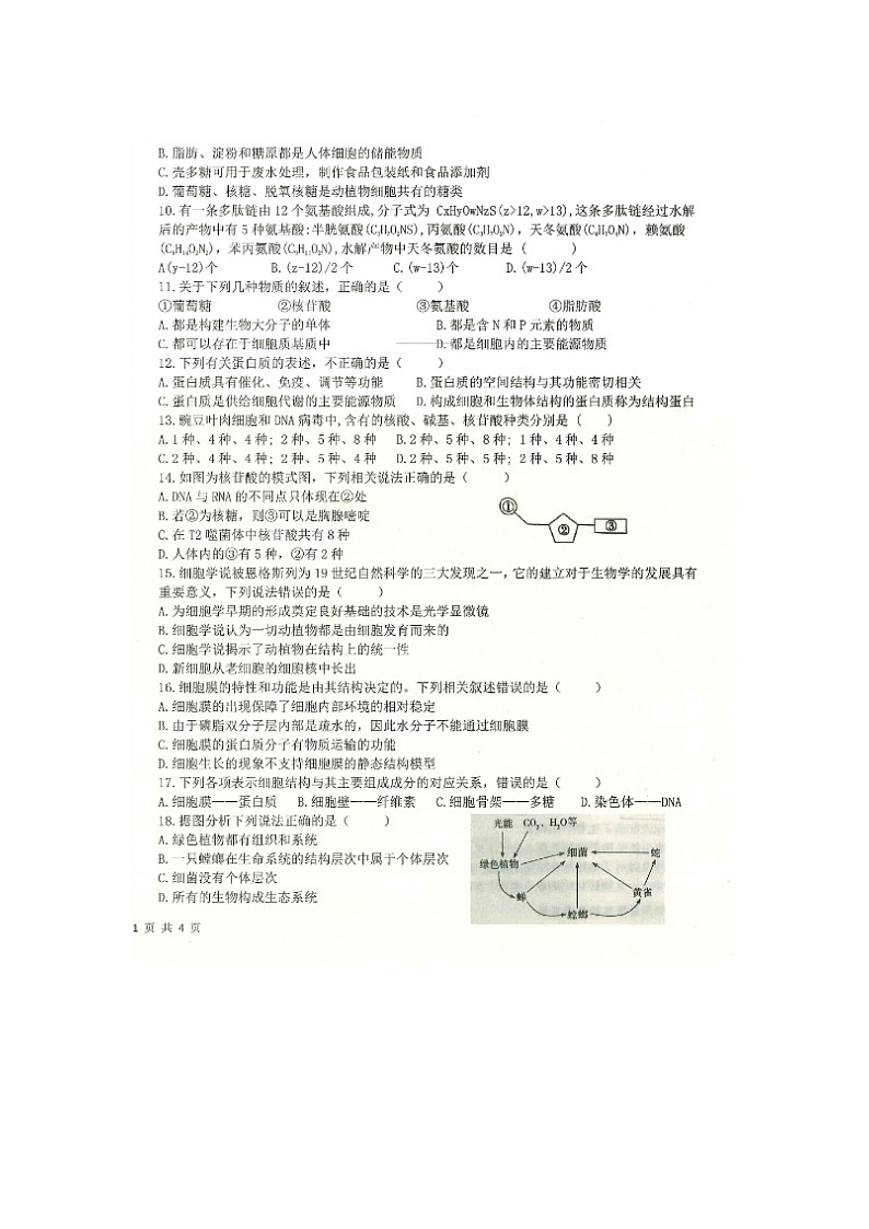 2023省齐齐哈尔八校联合体高一上学期期中考试生物图片版含答案第2页