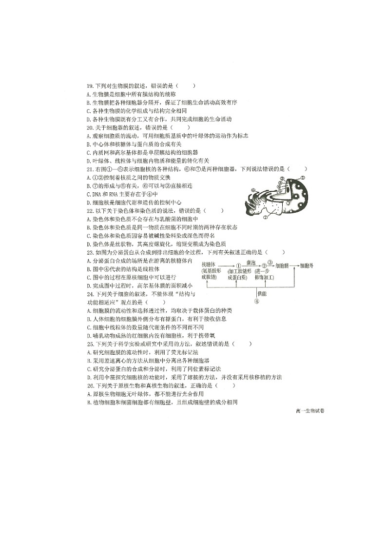 2023省齐齐哈尔八校联合体高一上学期期中考试生物图片版含答案第3页